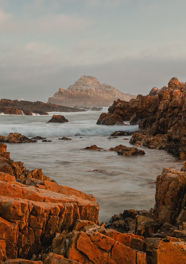 Atkins International Real Estate - Contact us